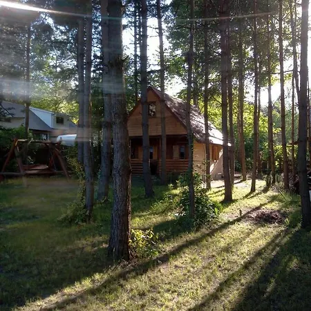Domek Dzieciolek Zyciny Exterior photo