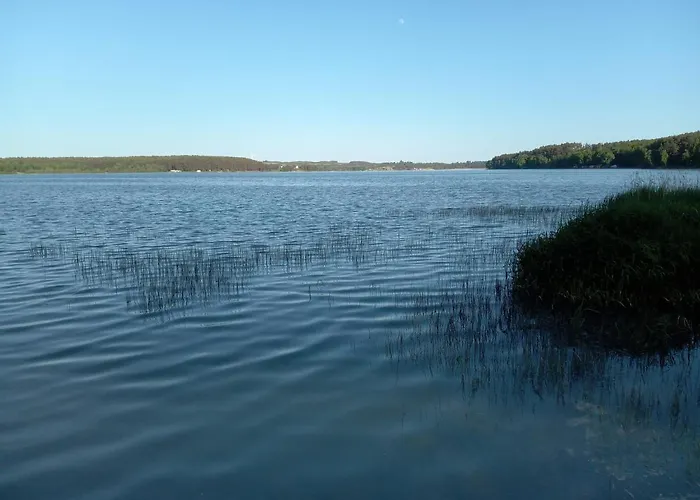 Domek Dzieciolek