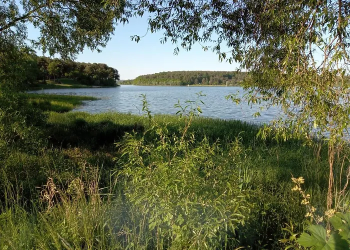 Domek Dzieciolek