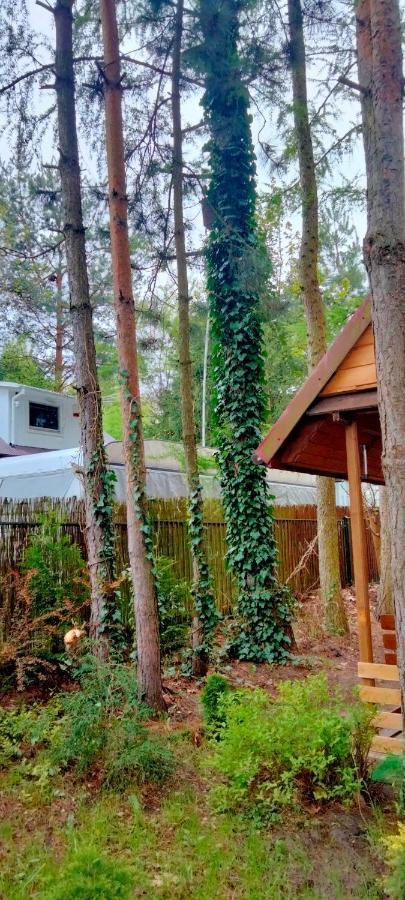 Dzieciolek Holiday home