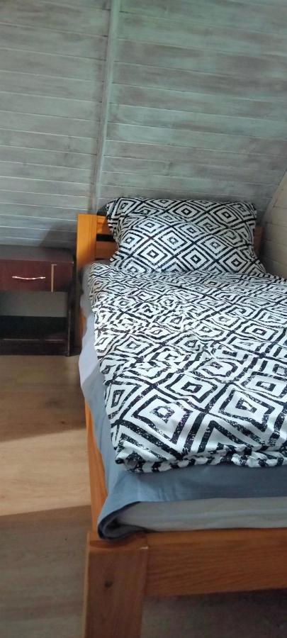 Dzieciolek Holiday home