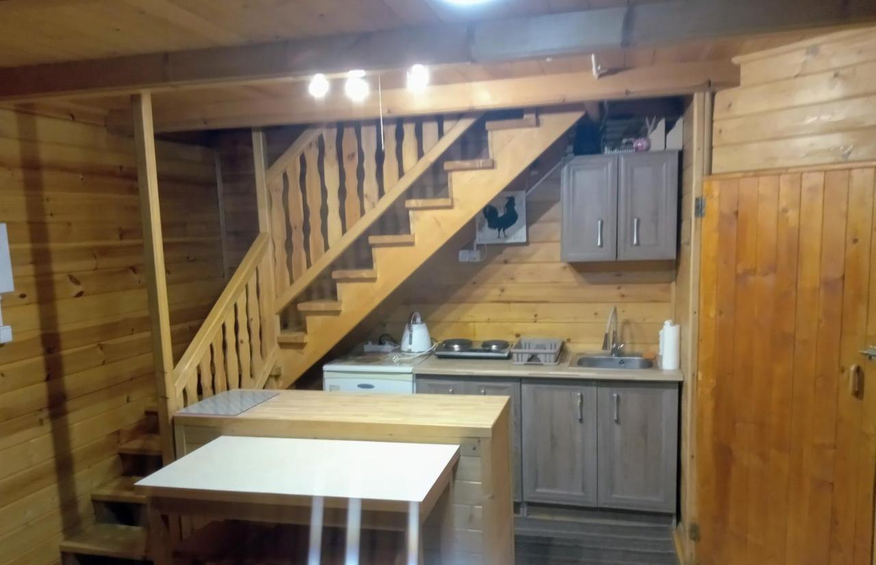 Dzieciolek Holiday home