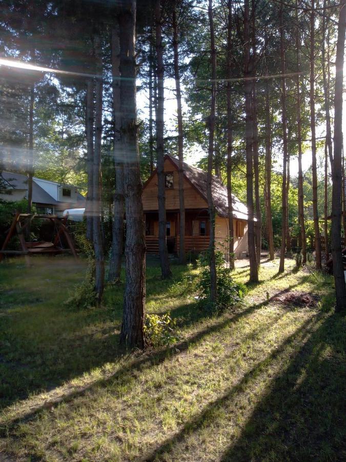 Holiday home Dzieciolek Zyciny